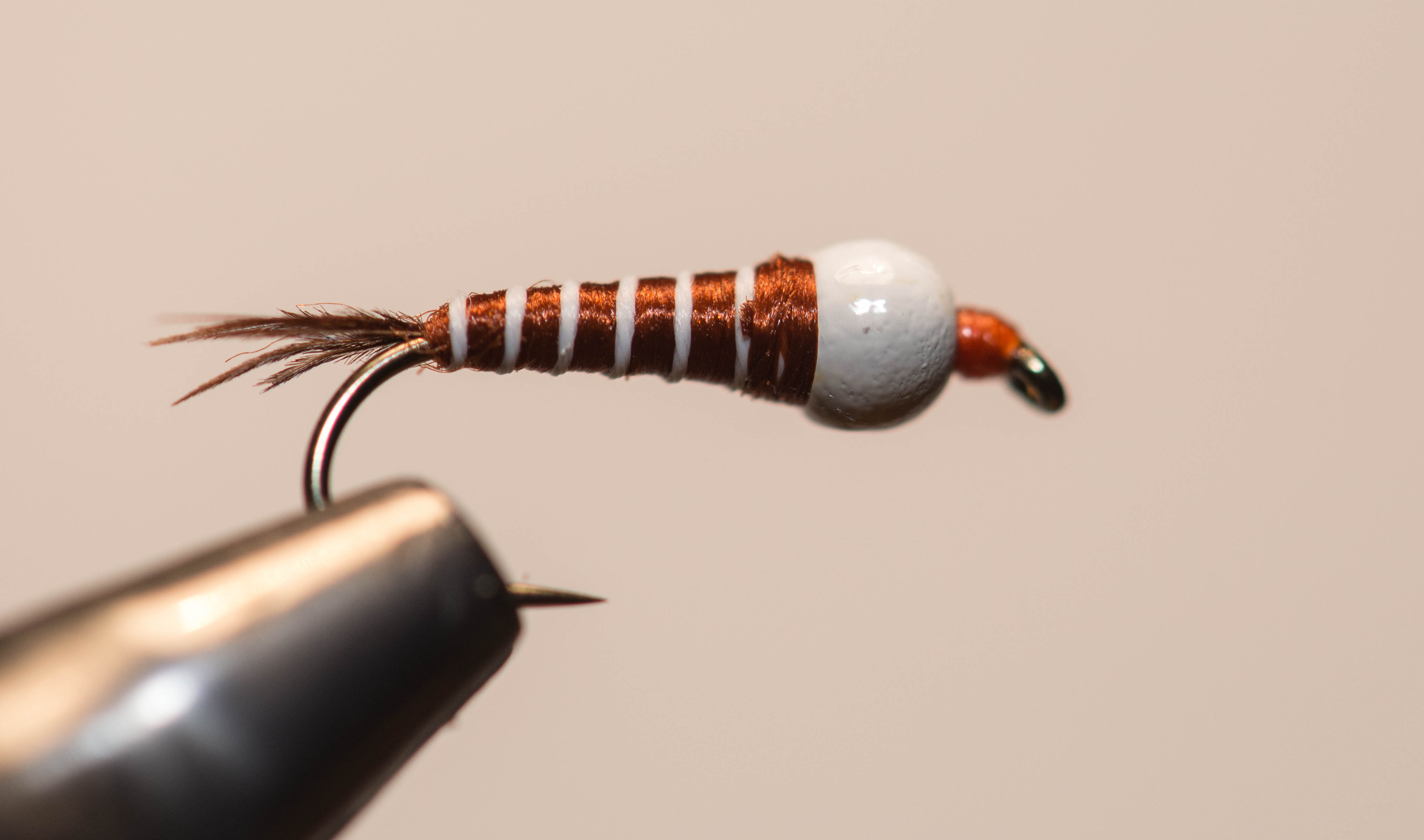 Fiche de montage : Nymphe tag et phoque - pêche à la mouche Fiche de montage : Nymphe tag et phoque - pêche à la mouche